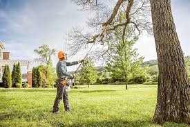 Best Tree Preservation Services  in Wharton, NJ