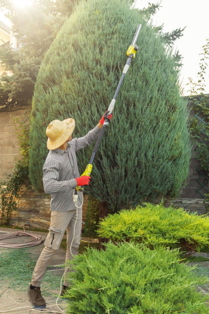 Best Organic Lawn Care Solutions  in Wharton, NJ